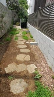 DSCN7682.JPG