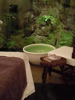 DSCN1477.jpg