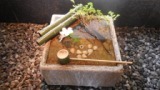 DSCN7482.JPG