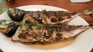 DSCN8729.JPG
