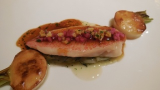 DSCN9287.JPG